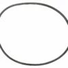 Sta-Rite 27001-0061S Filter Tank O-Ring For PLM / PLD System 2