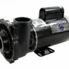 Waterway Executive 3 HP 2-Speed 230V Spa Pump - 56 Frame - 3721221-1D -swimming pool supplies shop 3721221 1d