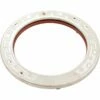 Stainless Steel Face Ring With Clamp And Gasket For 5G White LED Lights -swimming pool supplies shop 600095 xl