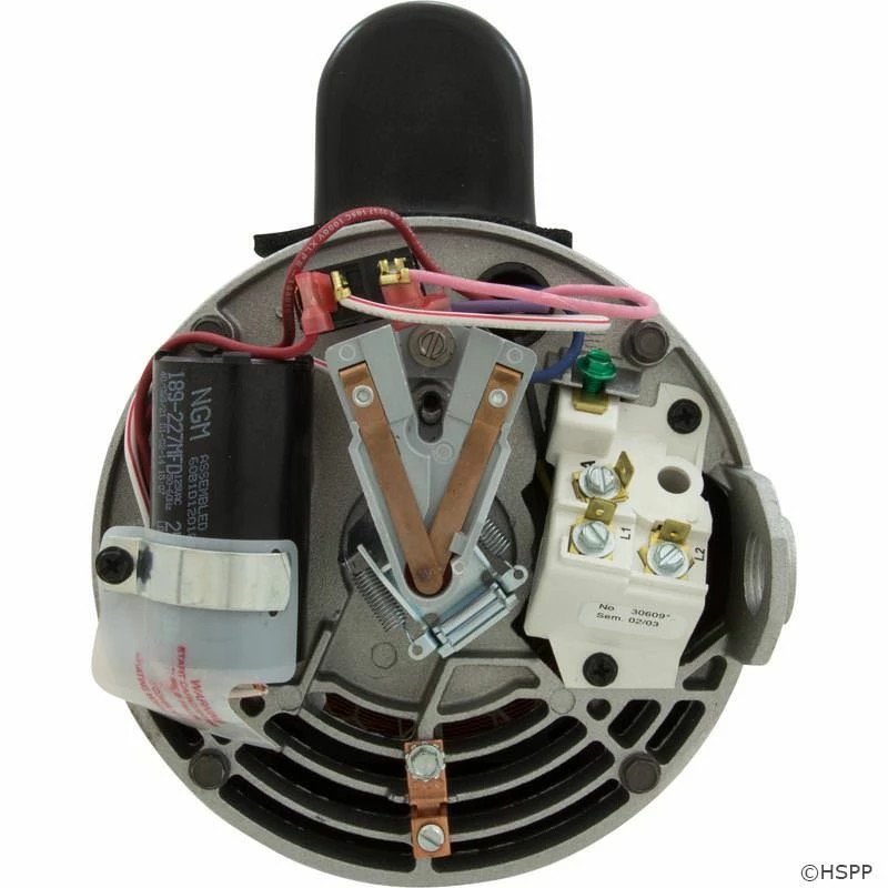 B2984 2-Speed Pump Motor 56Y Frame 2 HP Square Flange Energy Efficient 230V 9 B2984 2-Speed Pump Motor 56Y Frame 2 HP Square Flange Energy Efficient 230V - Image 7