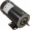 BN51 2-Speed Pump Motor 48Y Frame 2 HP Thru Bolt 230V