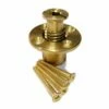Brass Anchor With Screw For Pool Safety Covers With Wood Deck 1 Brass Anchor With Screw For Pool Safety Covers With Wood Deck -swimming pool supplies shop brass anchor safety cover for wood deck