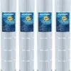 Hayward CX1280XREPAK4 Replacement Cartridge For C5020/C5025/C5030 Swimclear - 4 Pack OEM -swimming pool supplies shop cx1280xrepak4