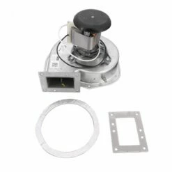 Hayward FDXLBWR1930 H-Series Low Nox FD Combustion Blower