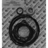 Aladdin Pentair Ultra Flow Pump Repair Kit Go-Kit 20