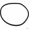 Hayward SPX4000TS Northstar Pump Lid O-Ring (2003-2007)