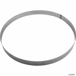 Pentair 195339 Stainless Steel Back-Up Ring For Clean & Clear Plus / FNS Plus