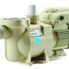 Pentair EC-342001 SuperFlo VS Variable Speed Pool Pump W/Timer - 1.5 HP - 115V/230V