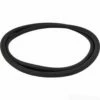 Pentair 39010200 Clean & Clear Plus / FNS Plus Tank O-Ring -swimming pool supplies shop pentair clean clear plus fns plus tank o ring 39010200 1