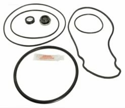 Pentair WhisperFlo Pump Repair Kit - GO-KIT 32 -swimming pool supplies shop pentair whisperflo pump repair kit apck1027