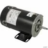BN35V1, BN35SS Pump Motor 48Y Frame 1.5 HP Thru-Bolt 115/230V -swimming pool supplies shop pump motor 1.5 hp thru bolt bn35ss up rated 1