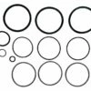 Jandy R0358000 Replacement Filter O-Rings Kit -swimming pool supplies shop r0358000