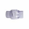 Spring Check Valve - 2 Inch - Slip By Slip - 1/4 #