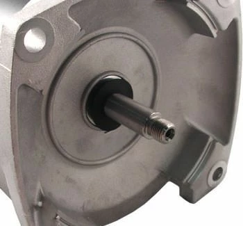 B985 2-Speed Pool Pump Motor 56Y Frame 2 HP Square Flange 230V - Full Rate 4 B985 2-Speed Pool Pump Motor 56Y Frame 2 HP Square Flange 230V - Full Rate - Image 2