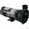 Waterway Executive 1.5 HP 2-Speed 115V 2" Spa Pump - 48 Frame - 3420610-1A -swimming pool supplies shop waterway executive 1.5 hp 2 speed 115v spa pump