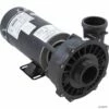 Waterway Executive 2 HP 2-Speed 230V 2" Spa Pump - 48 Frame - 3420820-1A